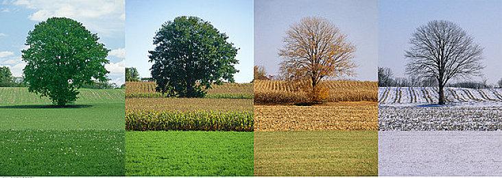 《天空之恋》Steam页面上线 2024年11月推出